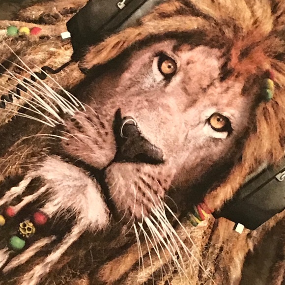 The MOUNTAIN T - Picture 3 of 3